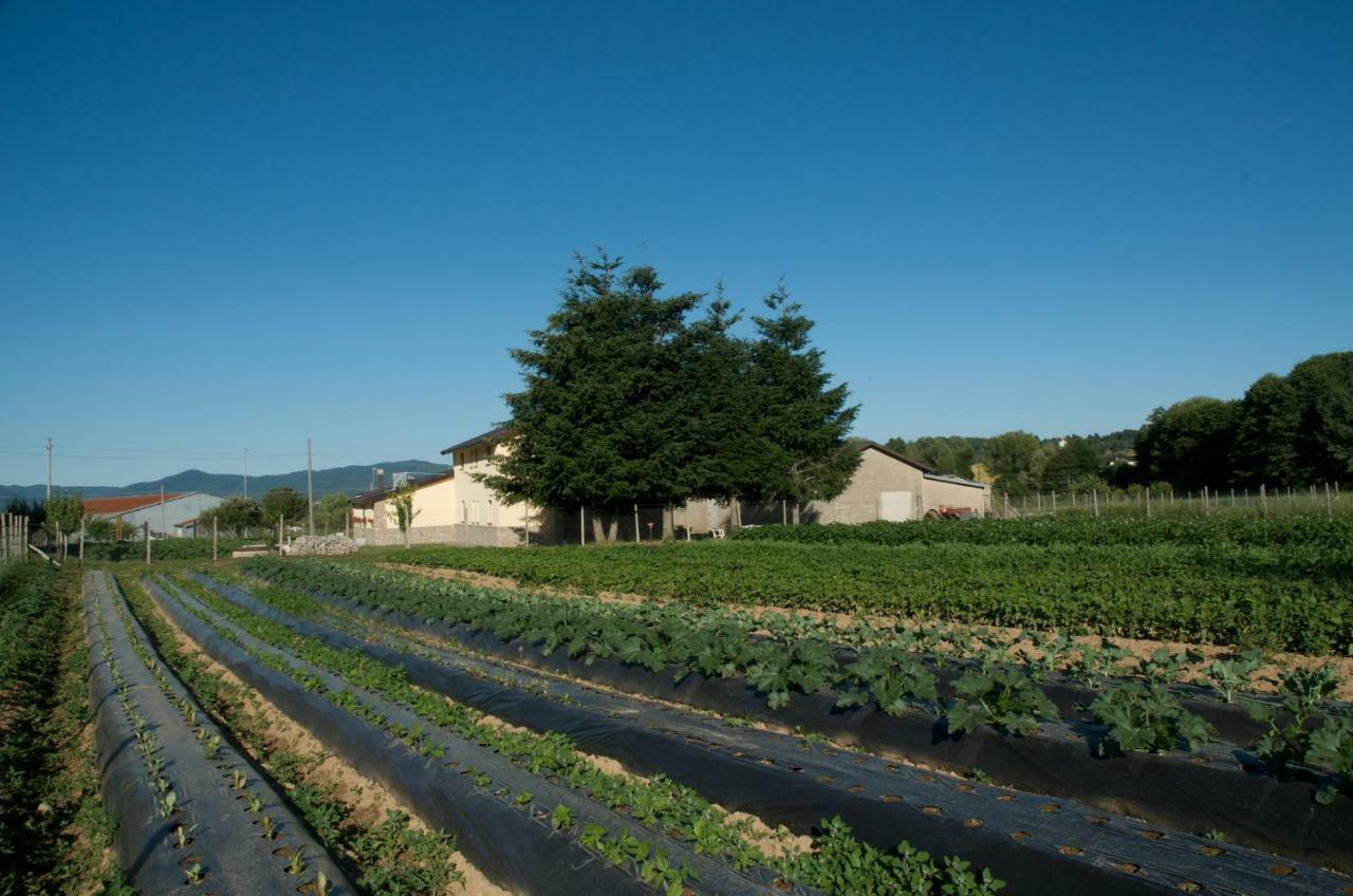 Agriturismo Fiorella Camigliatello Silano Exteriör bild