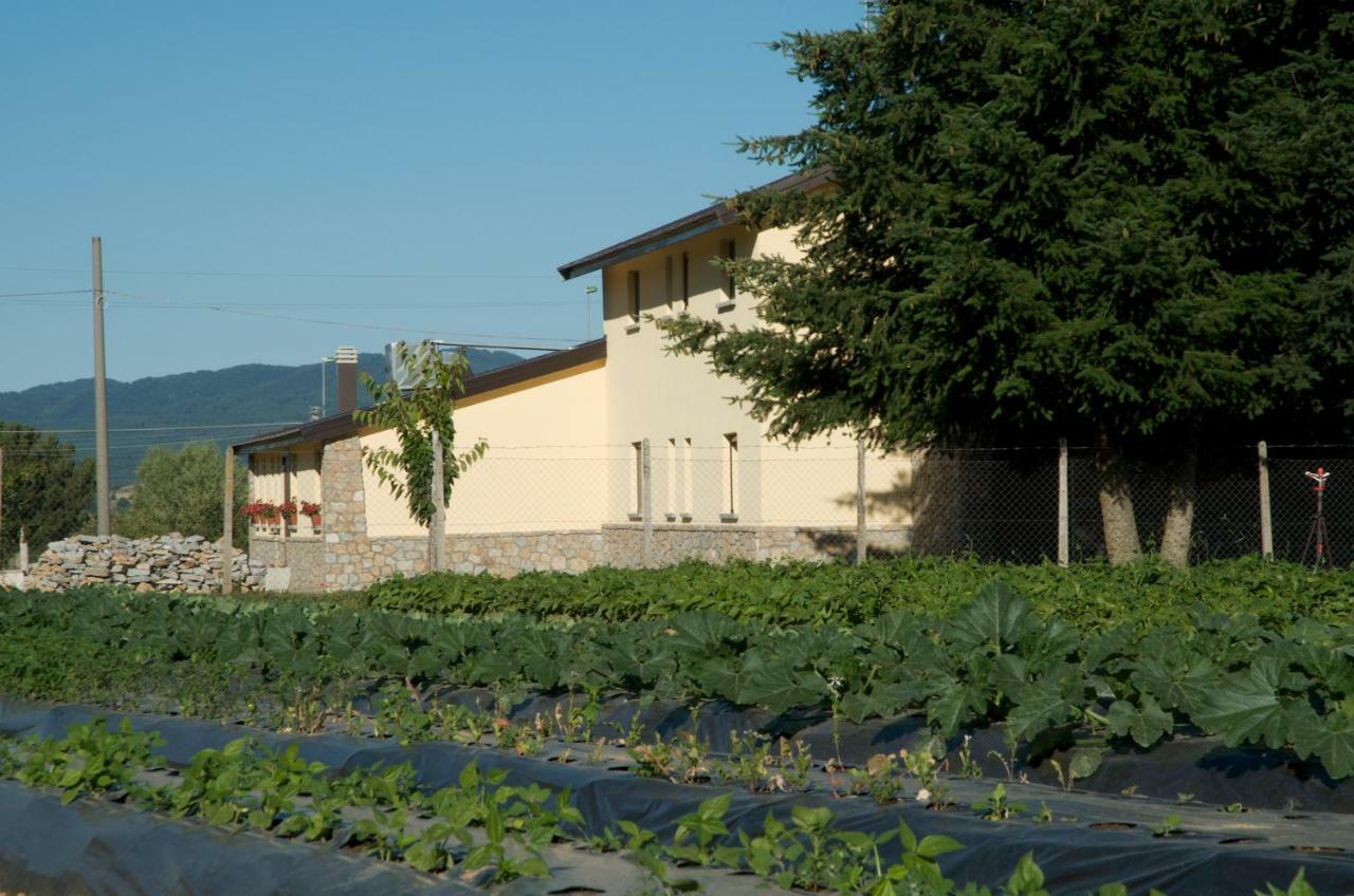 Agriturismo Fiorella Camigliatello Silano Exteriör bild
