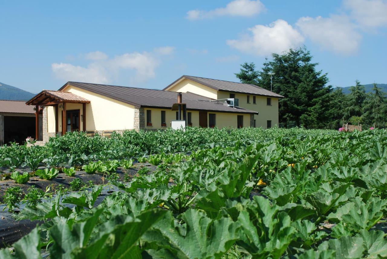 Agriturismo Fiorella Camigliatello Silano Exteriör bild